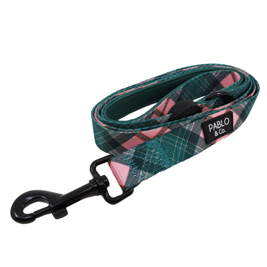 Patch's Plaid: Dog Leash