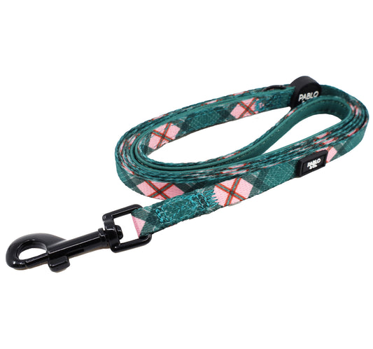 Patch's Plaid: Cat Leash