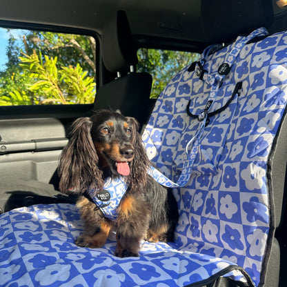 Blue Checkered Daisies: Headrest Car Restraint