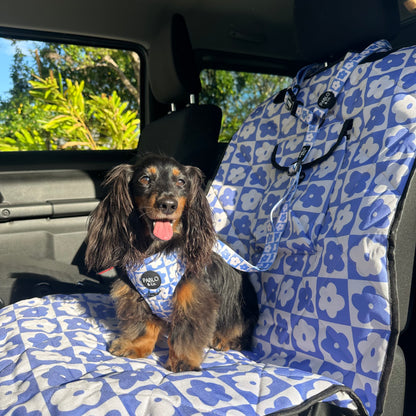 Blue Checkered Daisies: Headrest Car Restraint