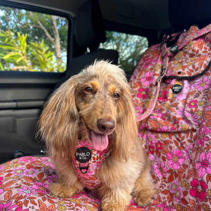 Pink Posies: Headrest Car Restraint