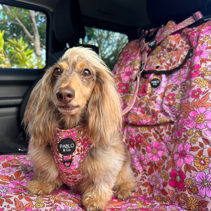 Pink Posies: Headrest Car Restraint