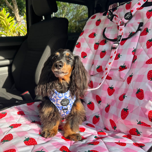 Strawberry Fields: Headrest Car Restraint