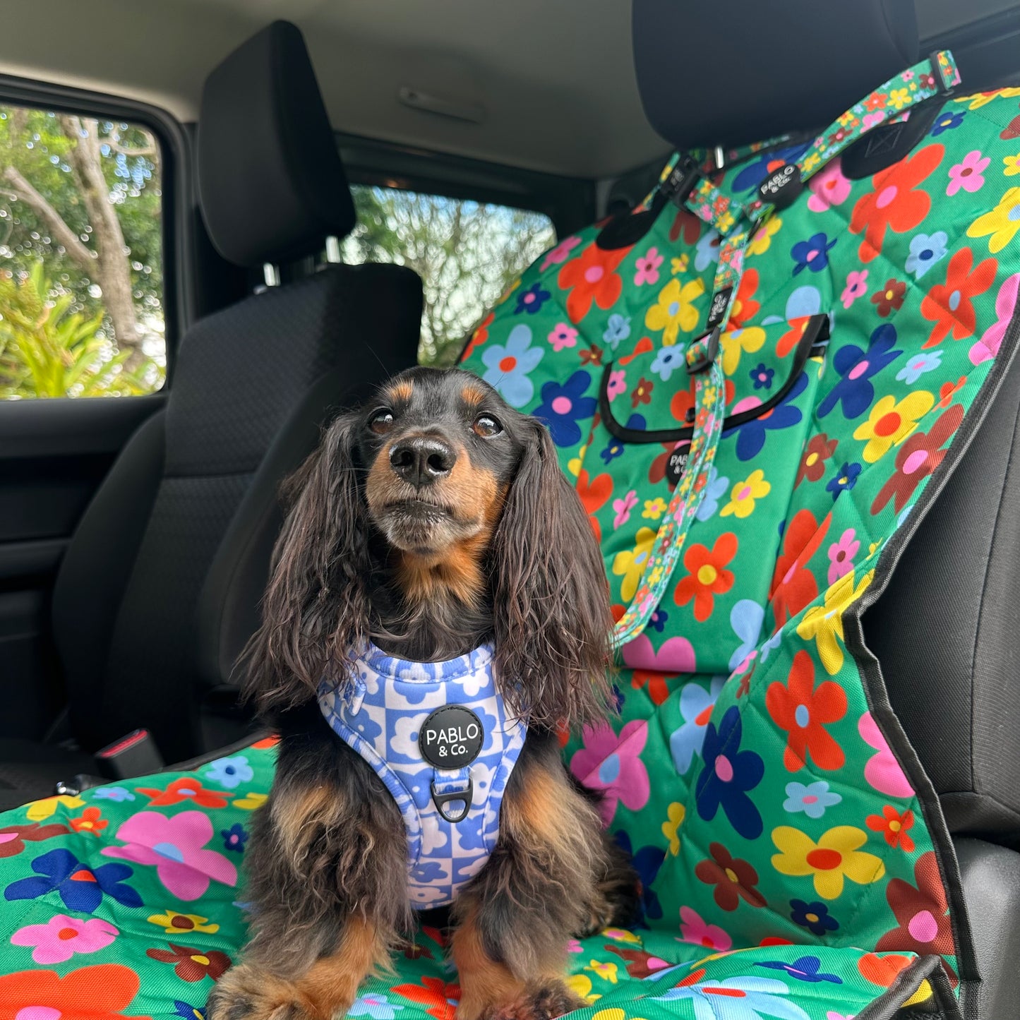 Funky Flowers: Headrest Car Restraint