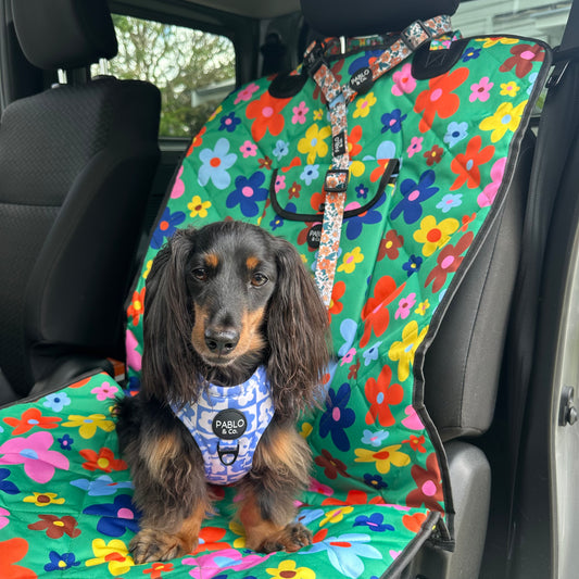 Wildflowers: Headrest Car Restraint