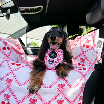 Deluxe Travel Car Bed: Ma chérie