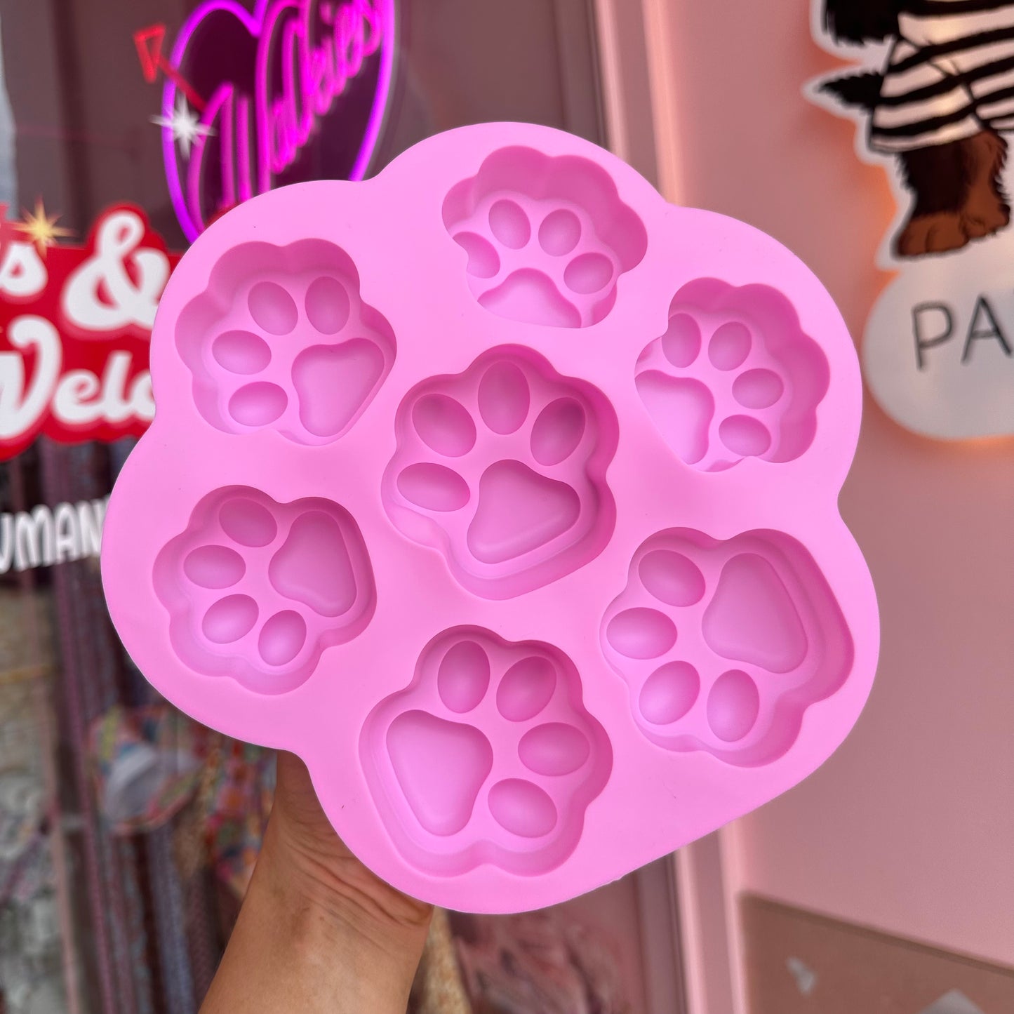 Paws Silicone Mould