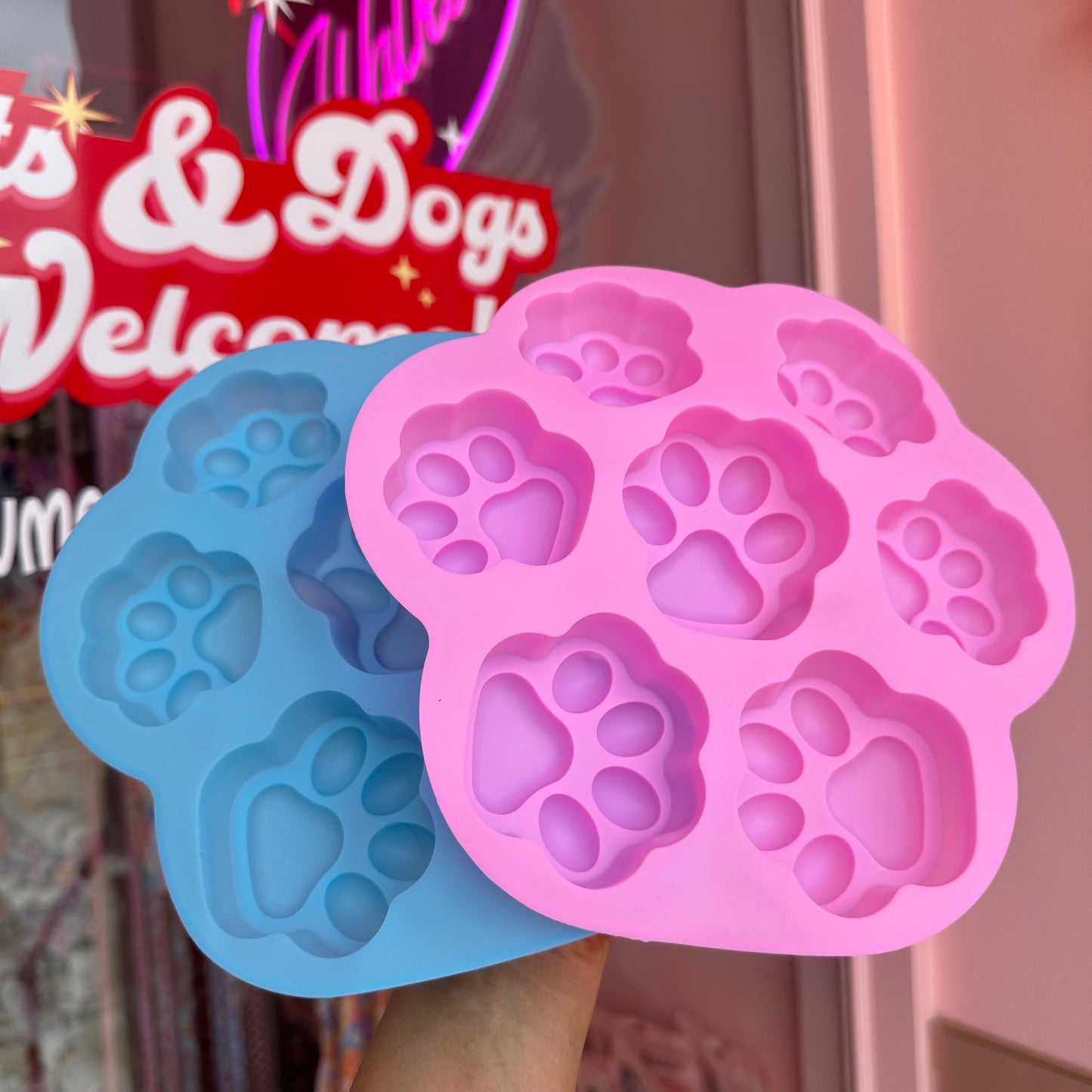 Paws Silicone Mould