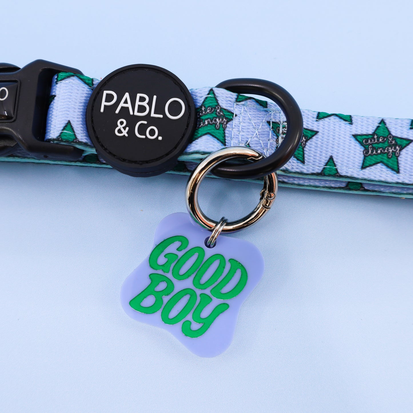 Personalised Pet ID Tag: Good Boy
