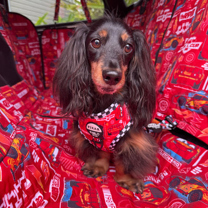 Cars: Deluxe Hammock Car Seat Cover