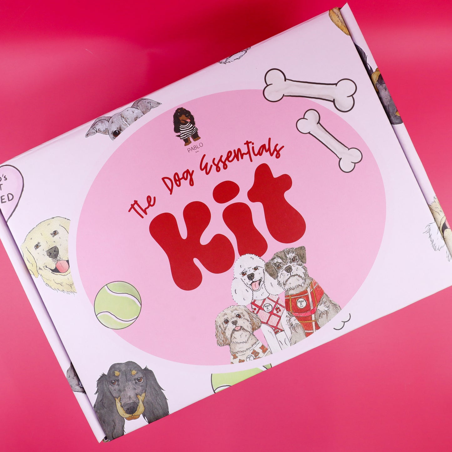 The Dog Essentials Kit