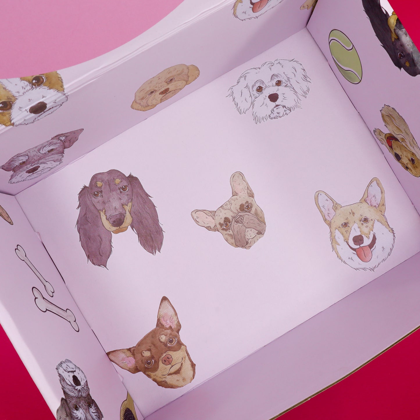 The Dog Essentials Kit