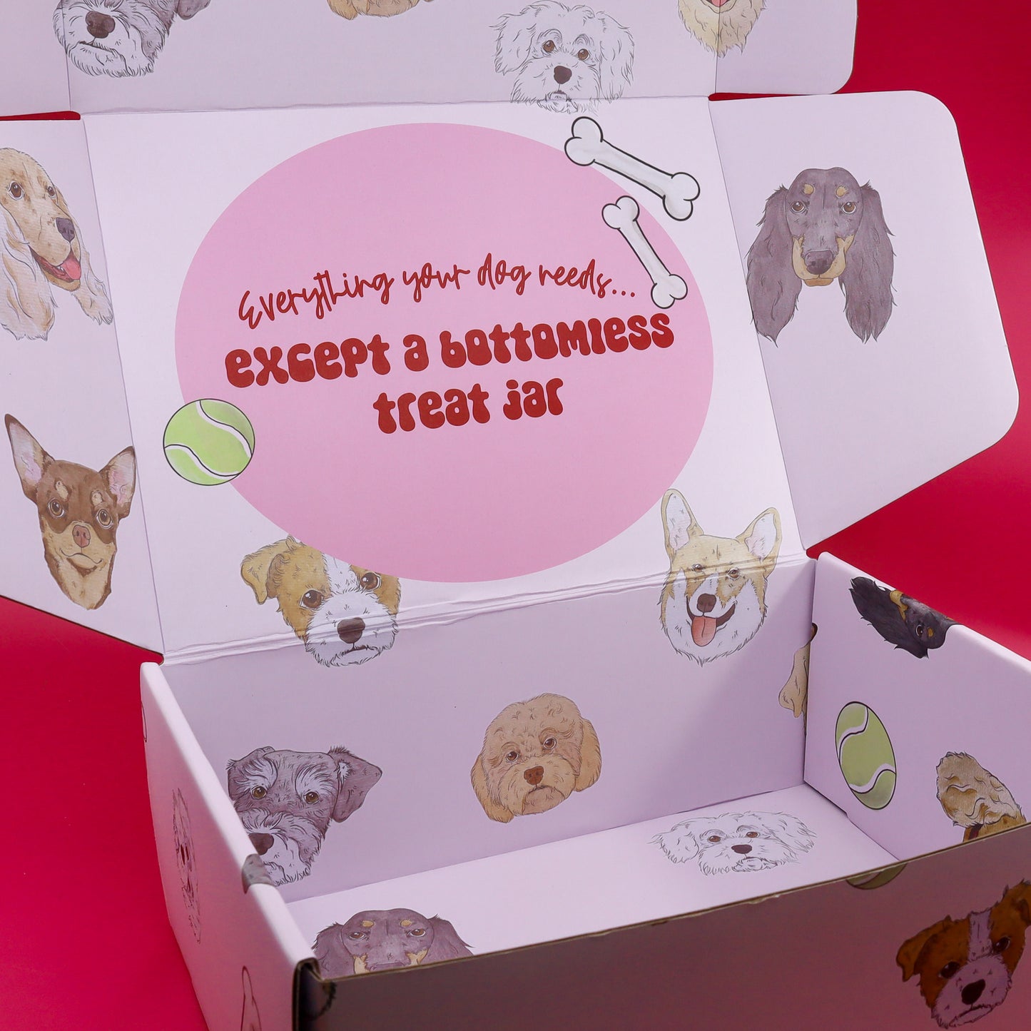 The Dog Essentials Kit