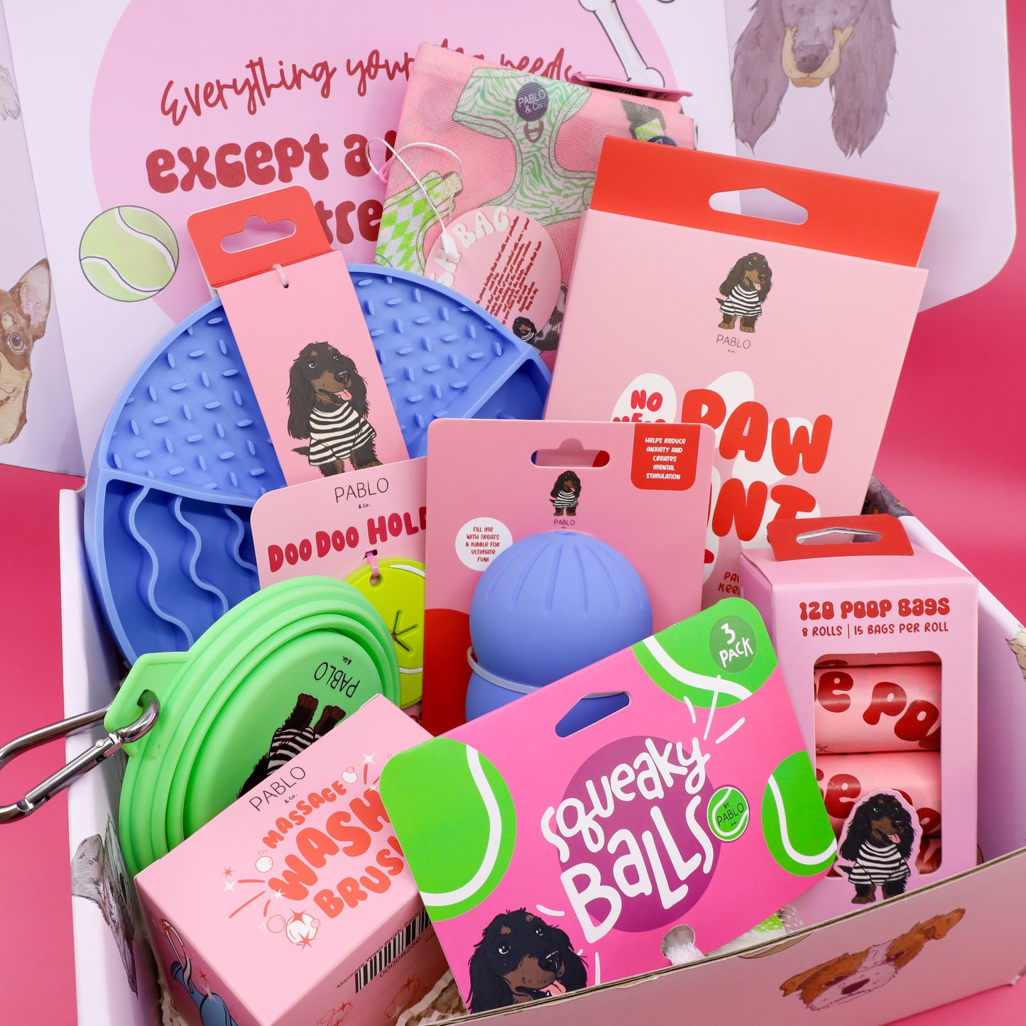 The Dog Essentials Kit