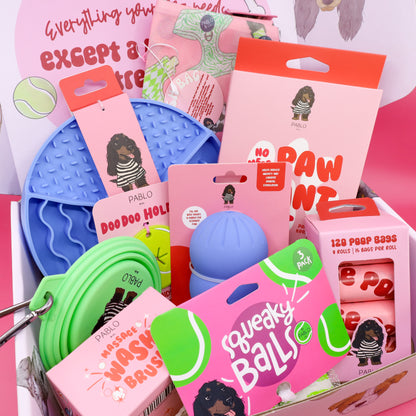 The Dog Essentials Kit