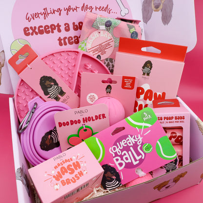 The Dog Essentials Kit