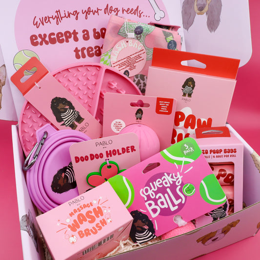 The Dog Essentials Kit