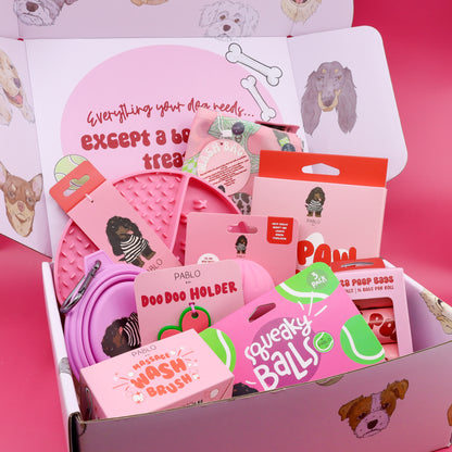 The Dog Essentials Kit