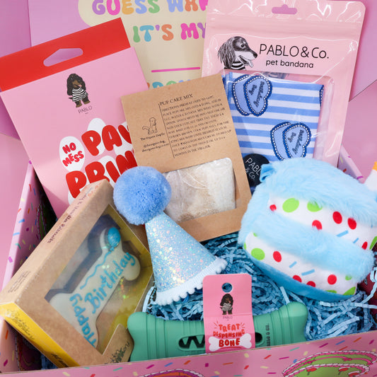 The Ultimate Birthday Box: Blue