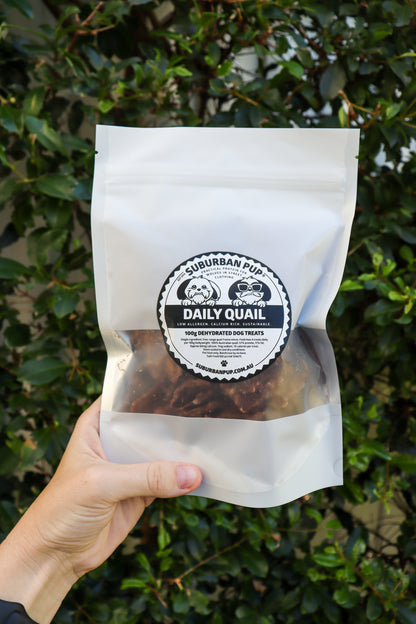 Suburan Pup: Daily Quail Treats