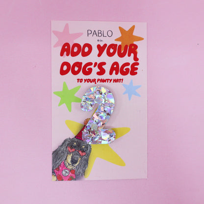 Pawty Hat Age Add-On: Silver