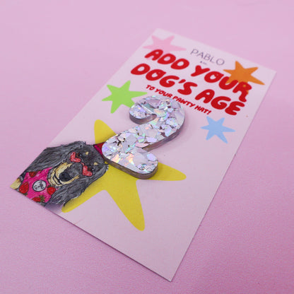 Pawty Hat Age Add-On: Silver