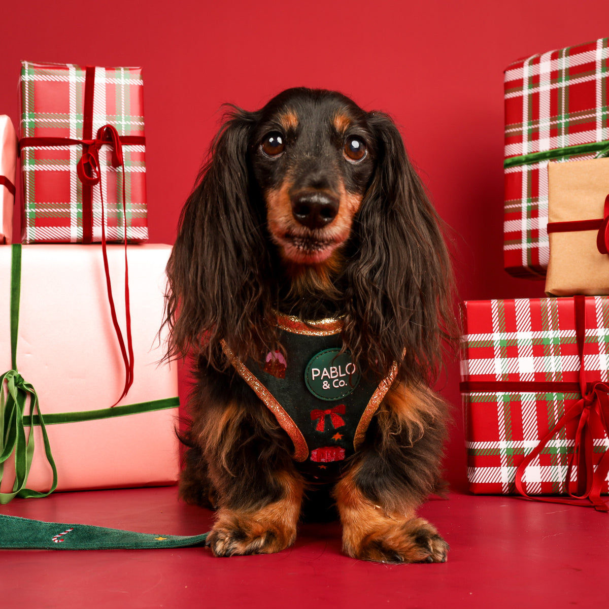 Tis' the Season: Velvet Adjustable Harness