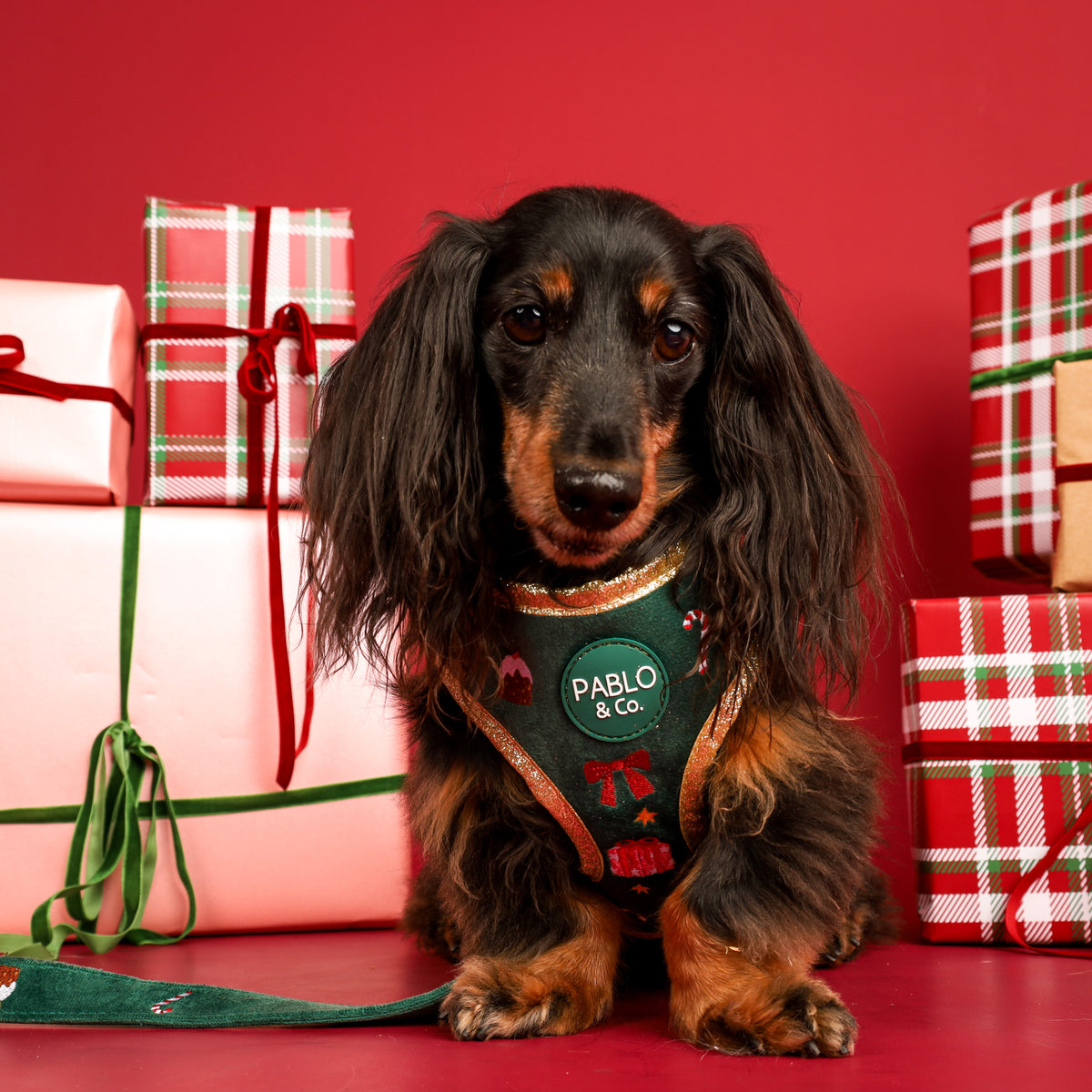 Tis' the Season: Velvet Adjustable Harness