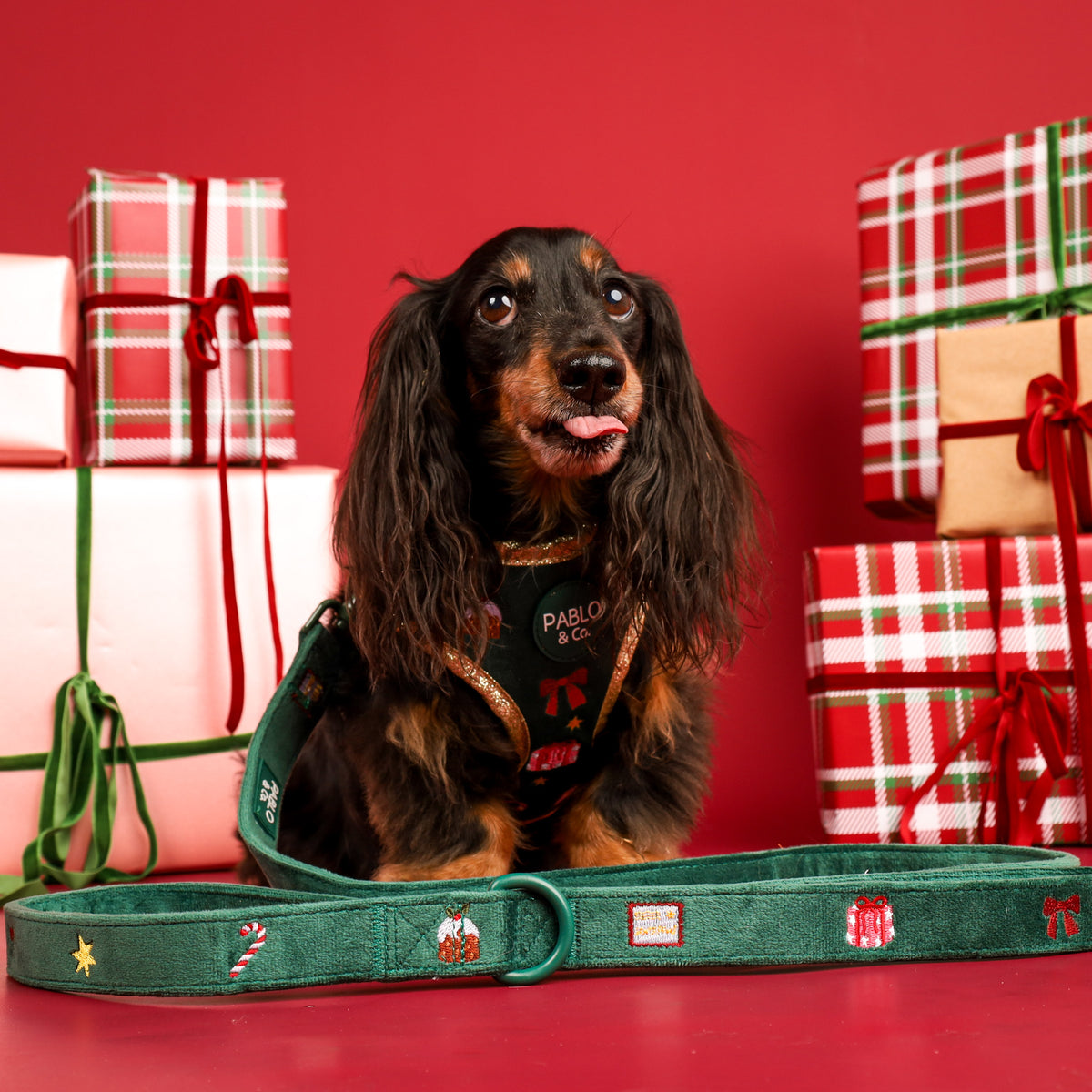 Tis' the Season: Velvet Dog Leash