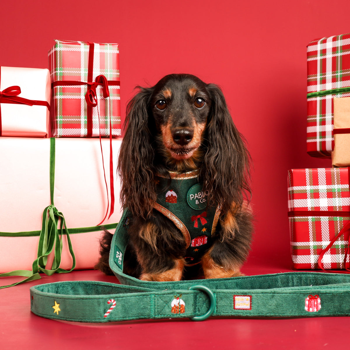 Tis' the Season: Velvet Dog Leash