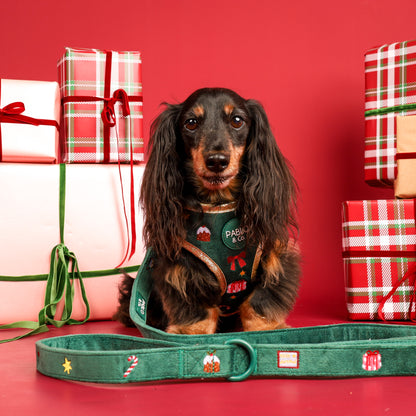 Tis' the Season: Velvet Dog Leash