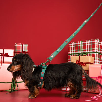 Tis' the Season: Velvet Dog Leash