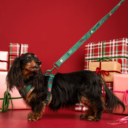 Tis' the Season: Velvet Dog Leash