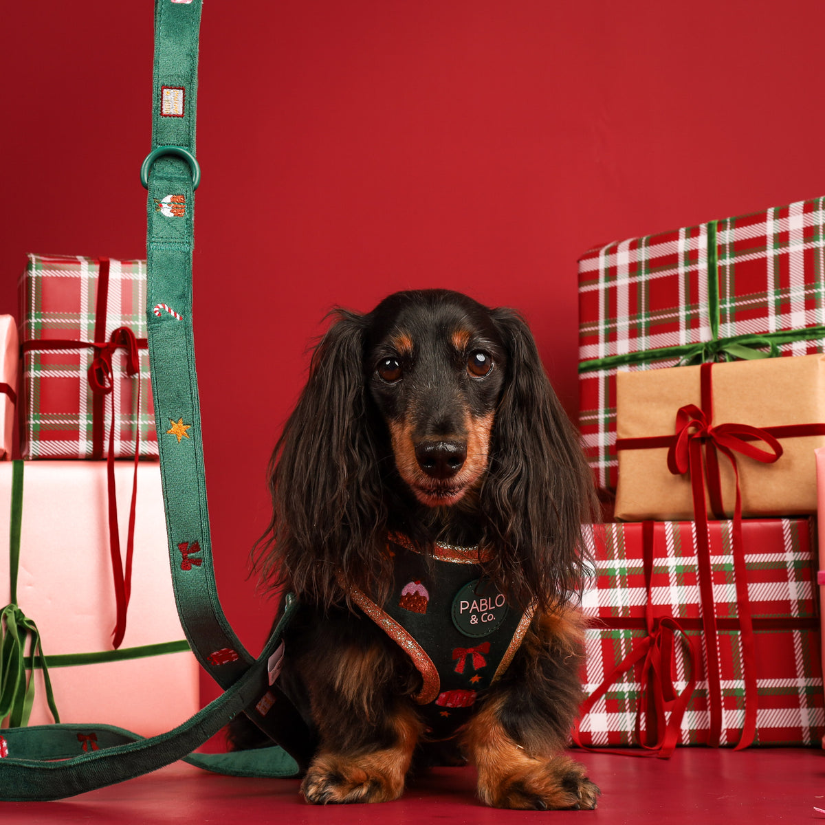 Tis' the Season: Velvet Dog Leash