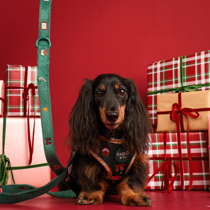 Tis' the Season: Velvet Dog Leash