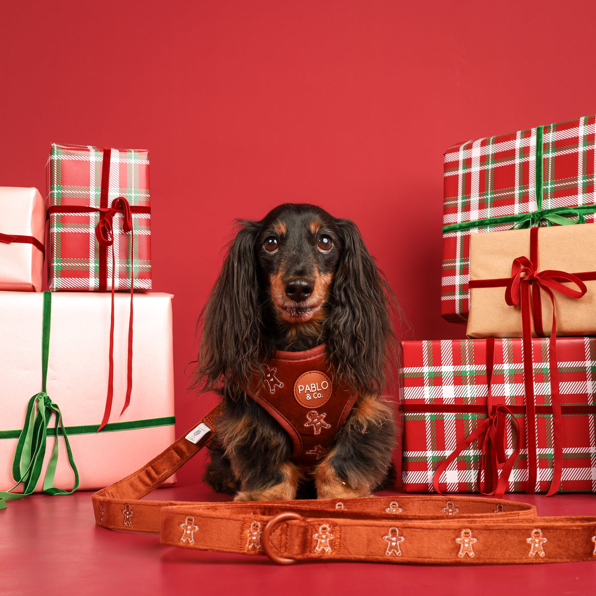 Gingerbread: Velvet Dog Leash