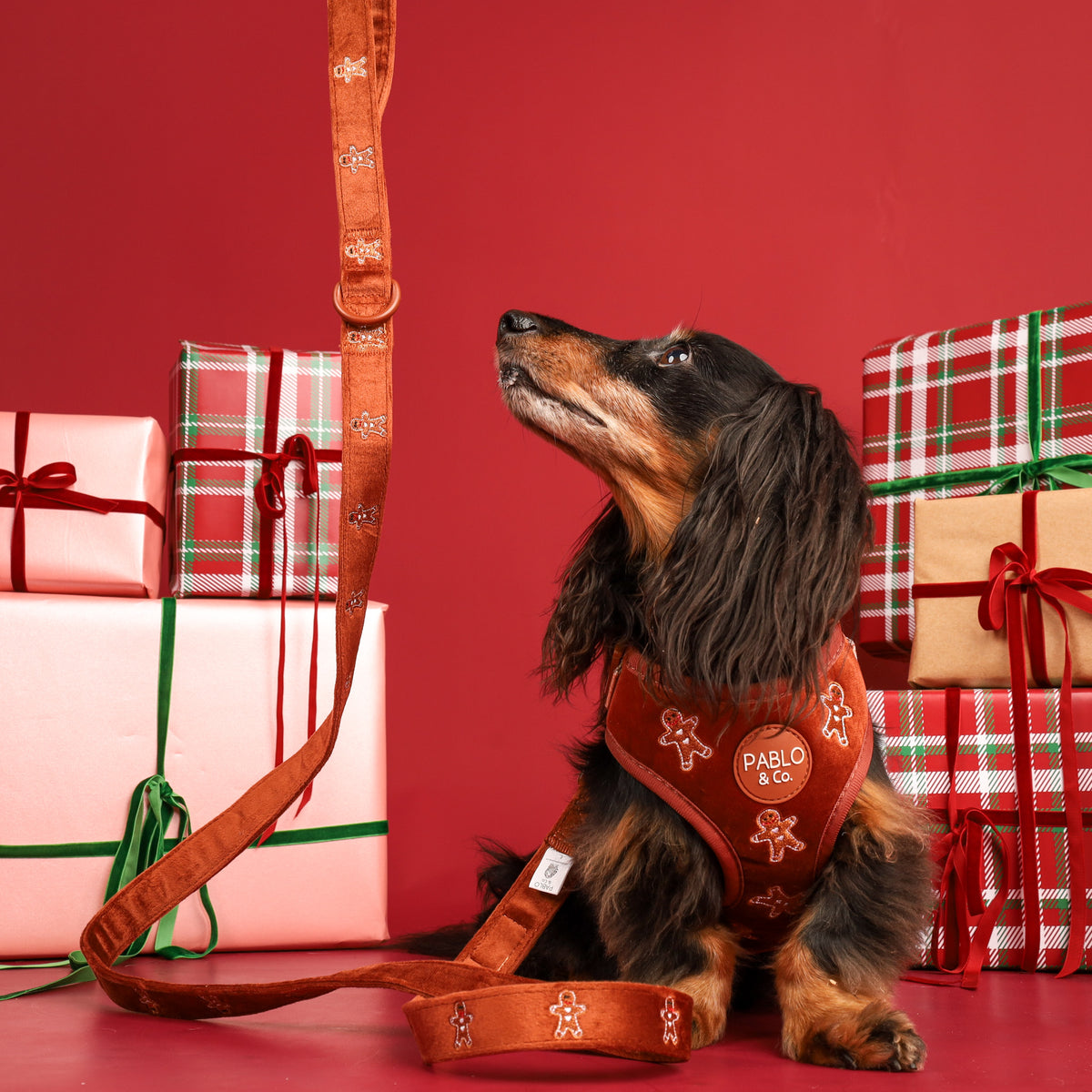 Gingerbread: Velvet Dog Leash