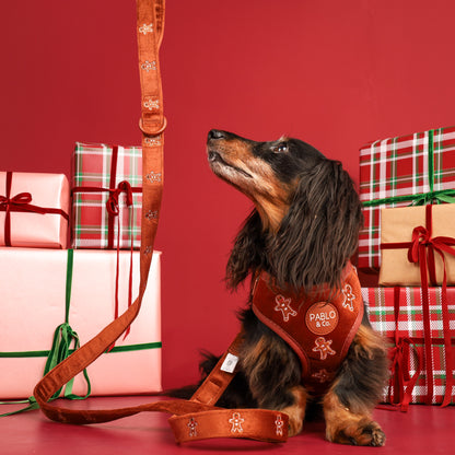 Gingerbread: Velvet Dog Leash