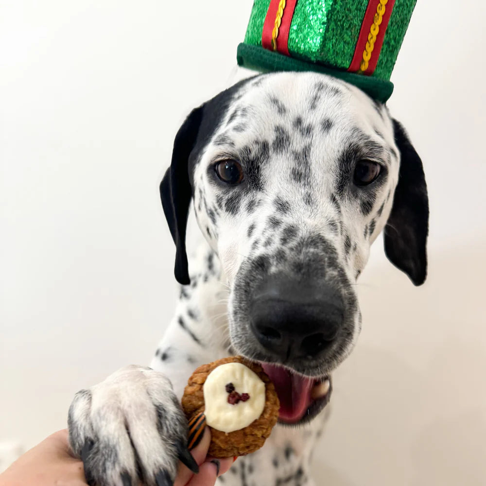 Biggie's Raw Pantry: Christmas Pudding - Chicken