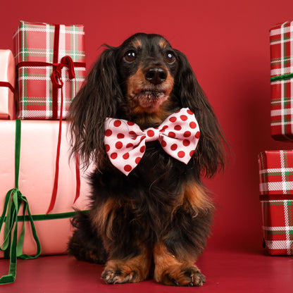 Christmas Bon Bon for Dogs