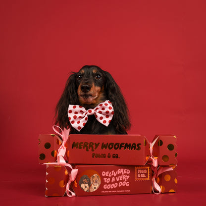Christmas Bon Bon for Dogs