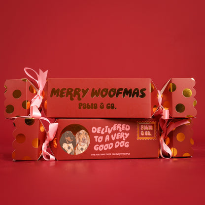 Christmas Bon Bon for Dogs