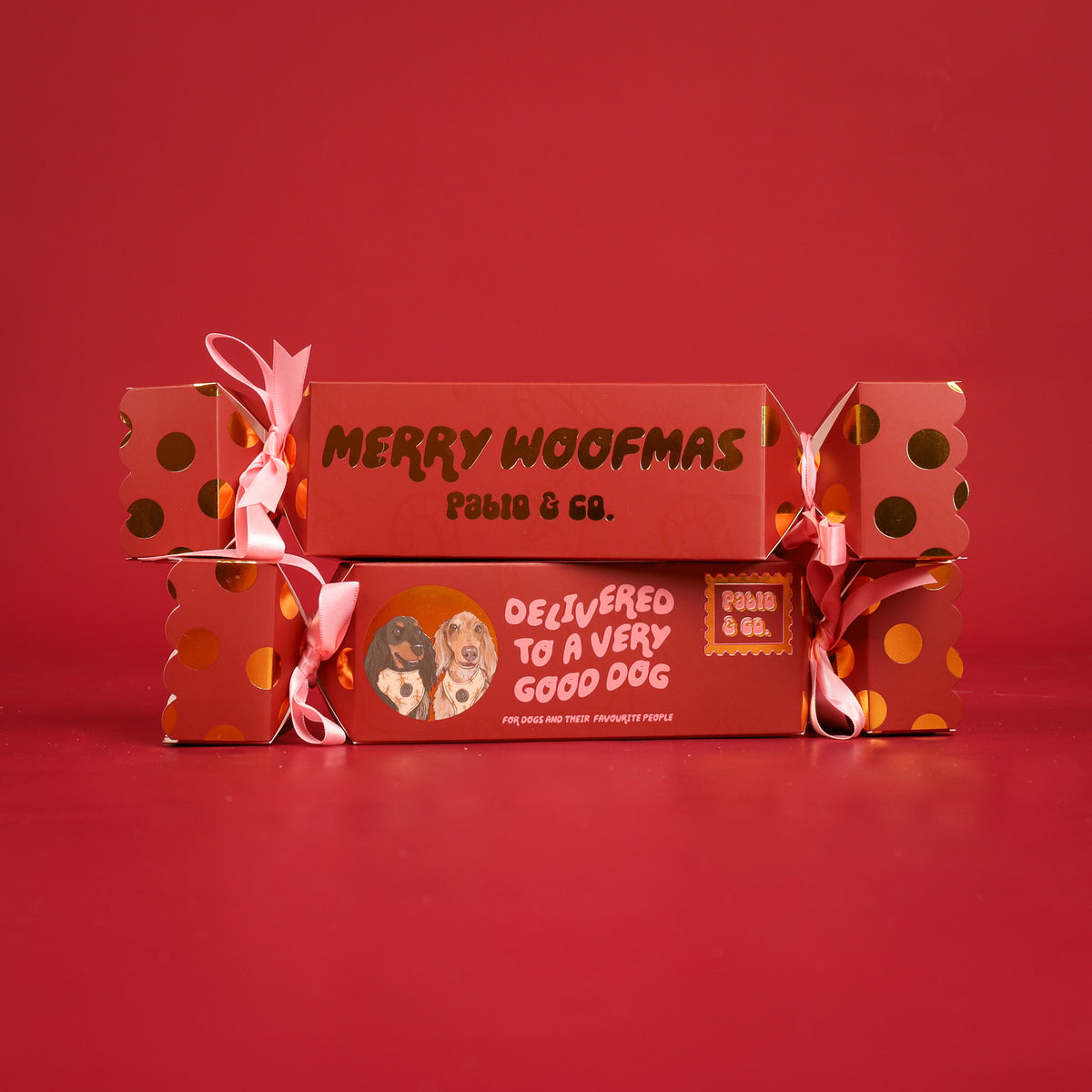 Christmas Bon Bon for Dogs