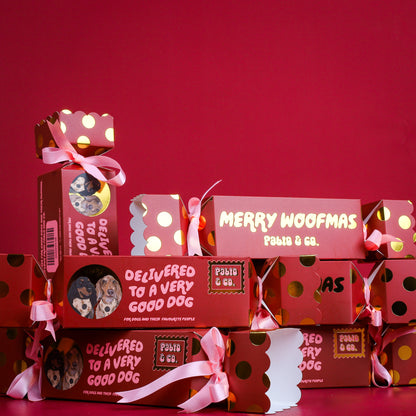 Christmas Bon Bon for Dogs