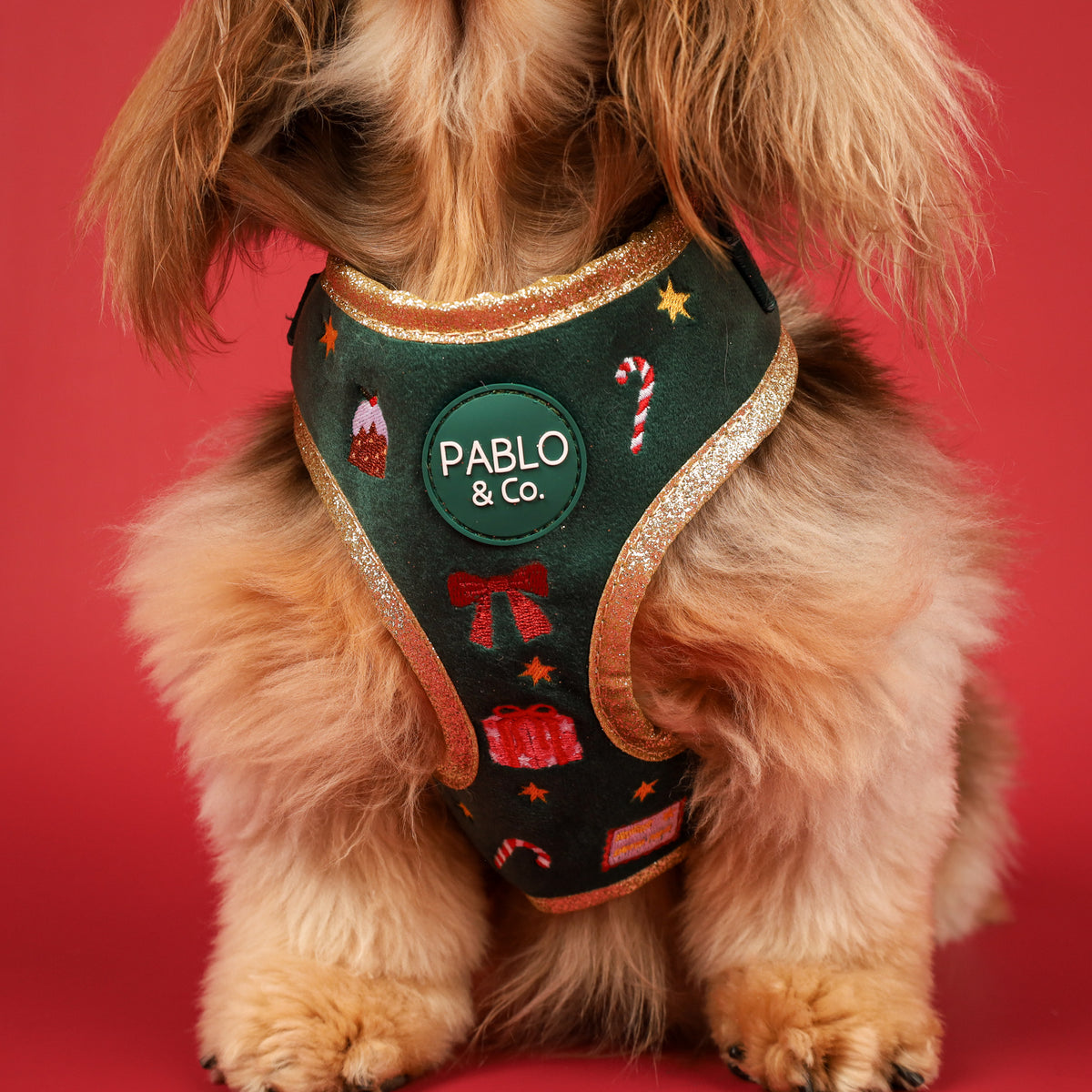 Tis' the Season: Velvet Adjustable Harness