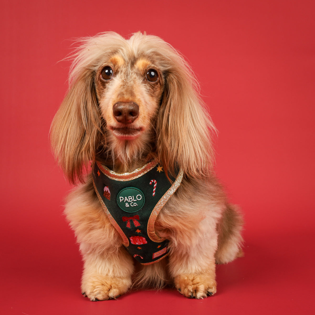 Tis' the Season: Velvet Adjustable Harness