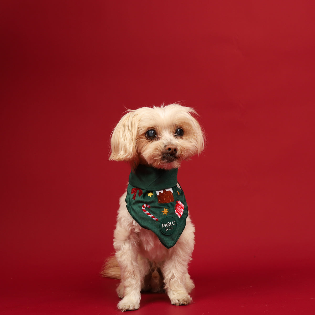 Tis' the Season: Velvet Dog Bandana