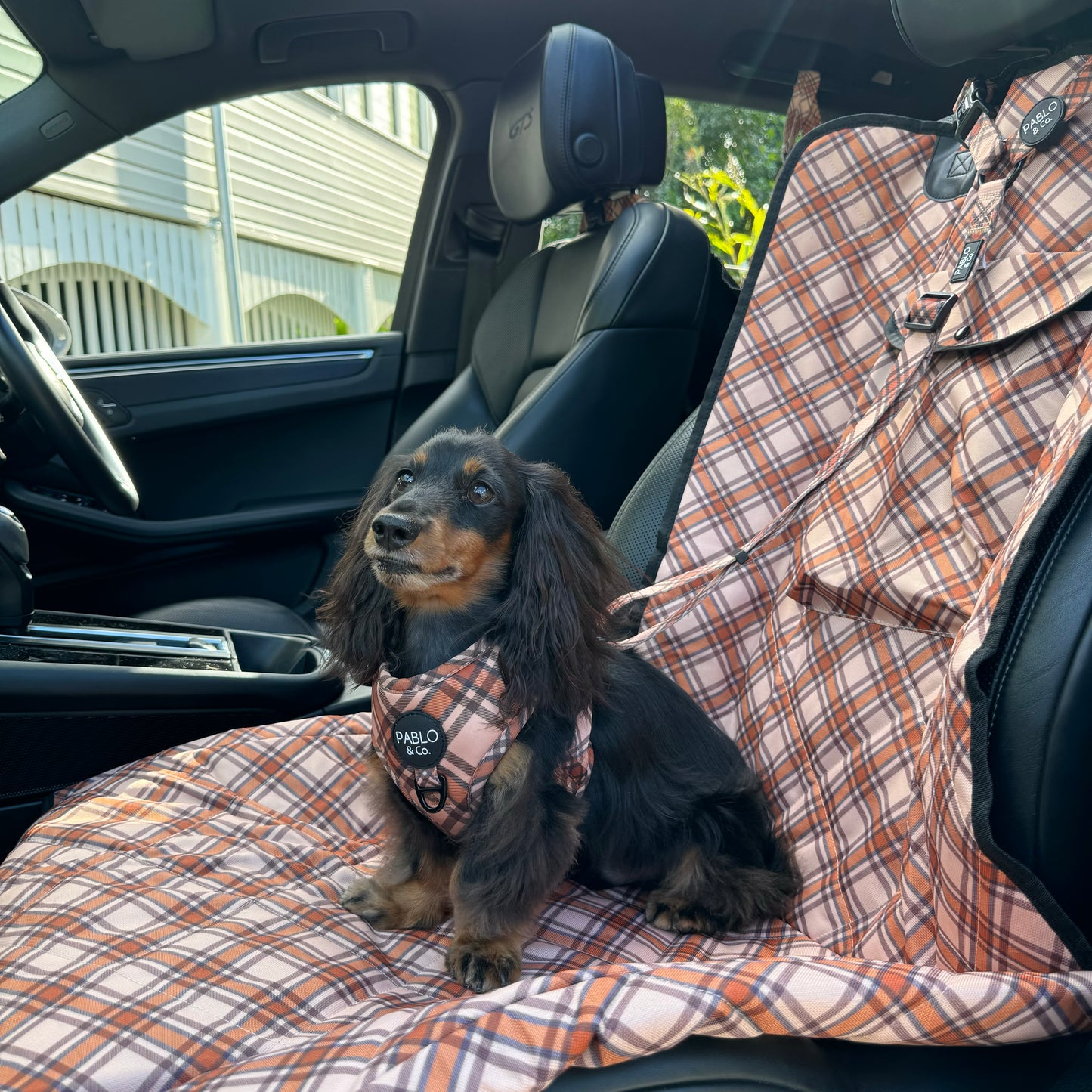 Kensington: Headrest Car Restraint