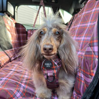 Camilla: Deluxe Hammock Car Seat Cover