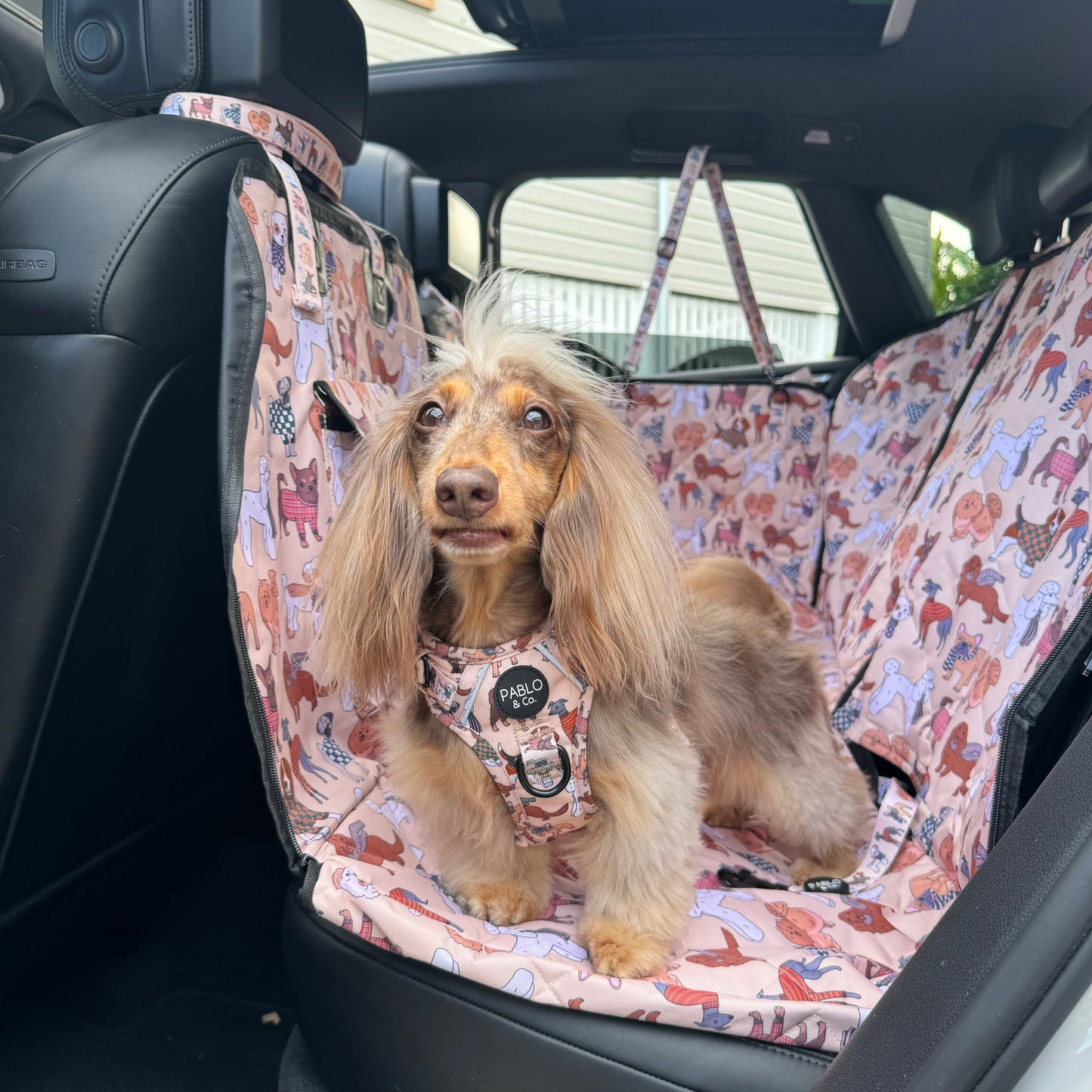 Winter Pooches: Deluxe Hammock Car Seat Cover